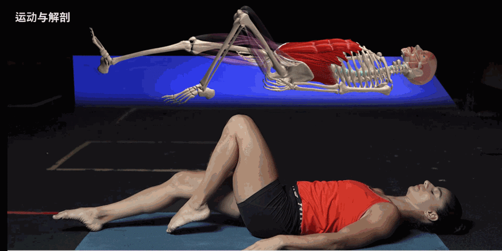 仰卧腿屈伸(退阶练习)动作分析:仰卧双手上举沙袋,呈屈膝屈髋姿势.