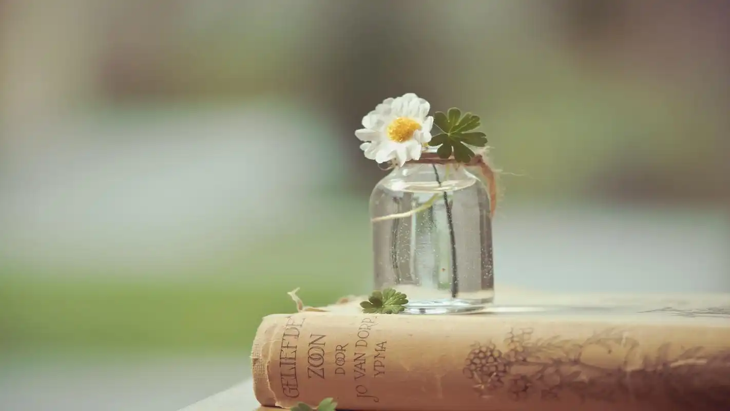 唯美意境静物桌面壁纸