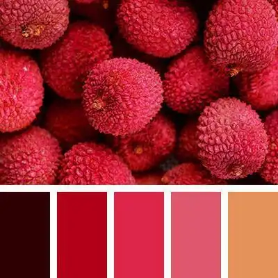 红色配色方案-感觉就是愉悦