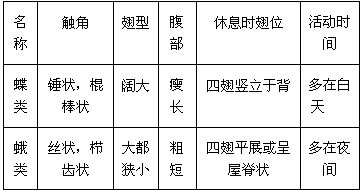 请你查阅资料,对蛾和蝶进行比较,找出他们之间的区别.