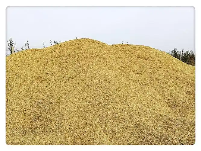 做自己喜欢的事就是自由;喜欢自己做的事就是幸福.