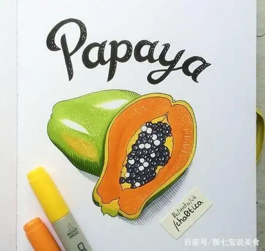 超级漂亮的美食插画,马克笔的色彩很美
