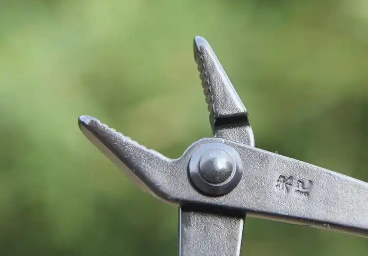 拉丝钳b61拆线钳锰钢材质锻造盆景制作养护工具盆栽工具b61拉丝钳200