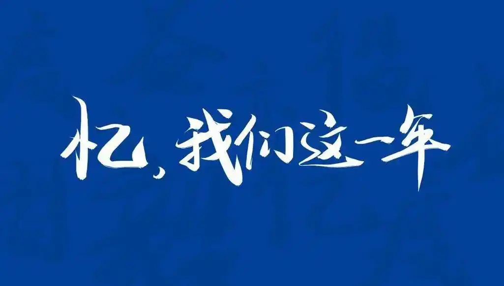 这一年,宛如一场如梦似幻的旅程,在记忆的画卷中留下了浓墨重彩却又