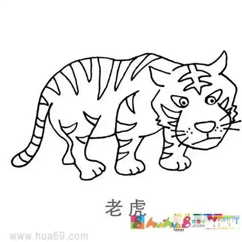 凶狠老虎的简笔画视频