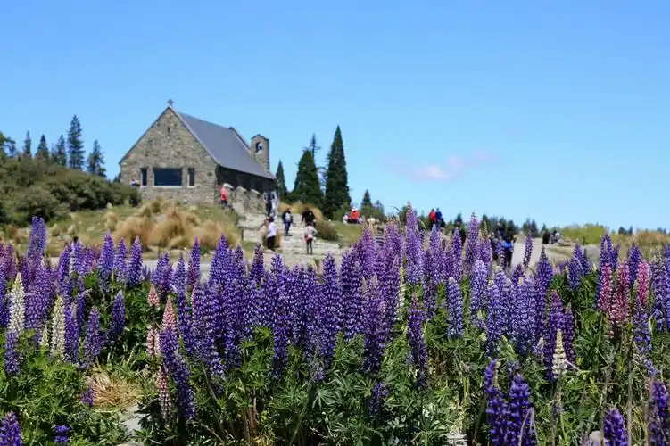 提卡坡坐落于新西兰南岛的著名旅游城市基督城与皇后镇之间,位于库克