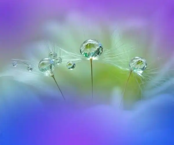 善良是心灵至美的光芒