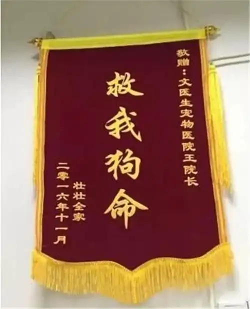 救我|锦旗|张让_新浪新闻