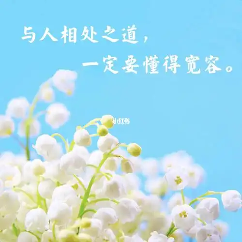 心宽看淡的句子心宽看淡的图片看淡世事图片大全看淡世事,通透学会