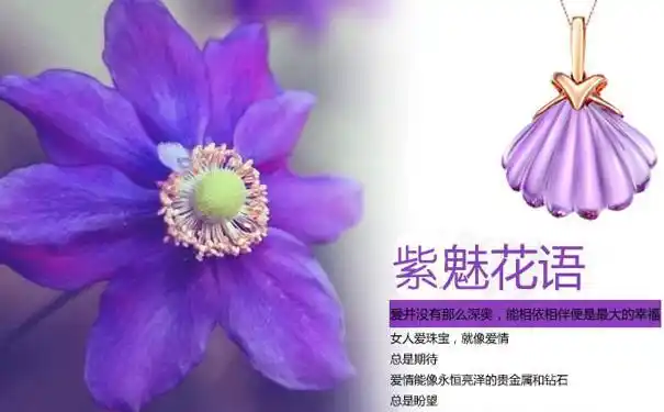 紫水晶:守护爱情,稳定情绪,开发智慧,提高记忆,改善睡眠.