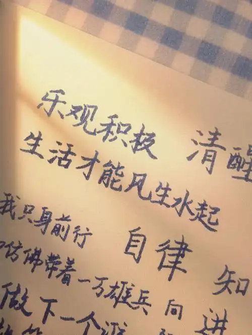 手写句子励志语录