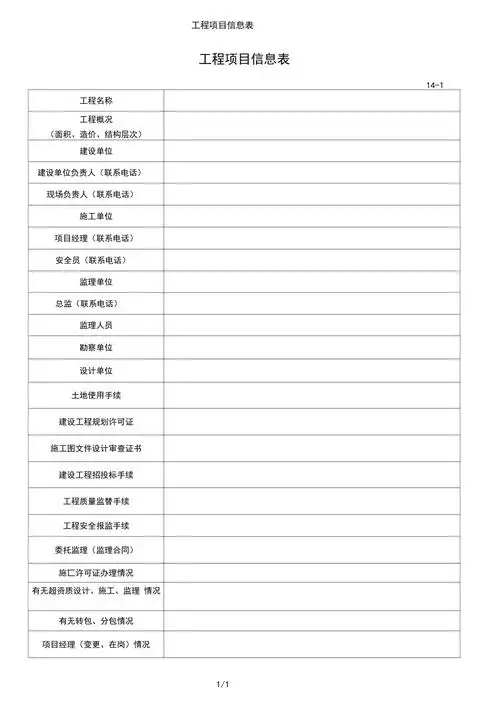 工程项目信息表