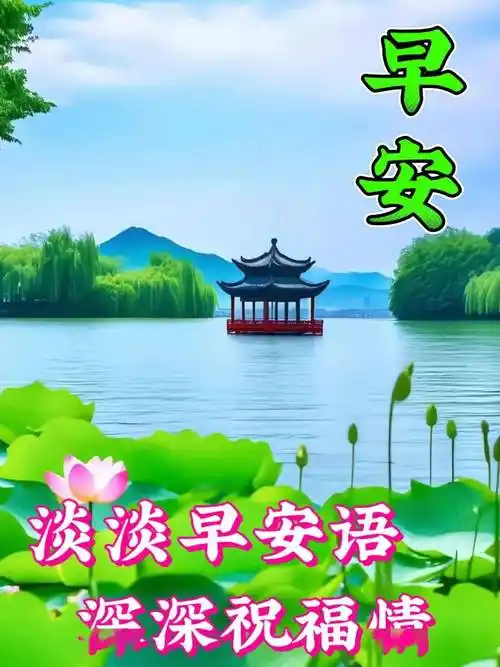 微信漂亮早安祝福问候语大全,祝福是心愿,牵挂是思念