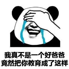 儿子我是你爸爸表情包(3)