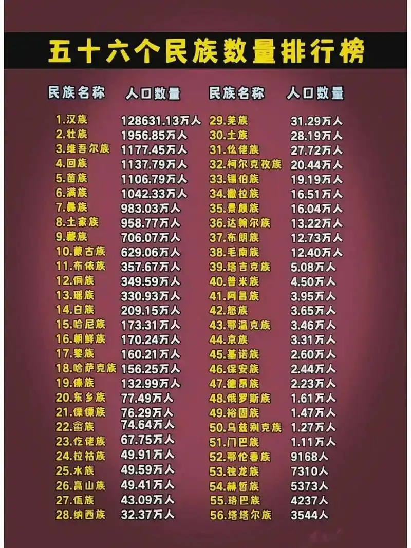 主要少数民族如壮族,维吾尔族,回族,苗族,土家族,蒙古族等,有孩子的