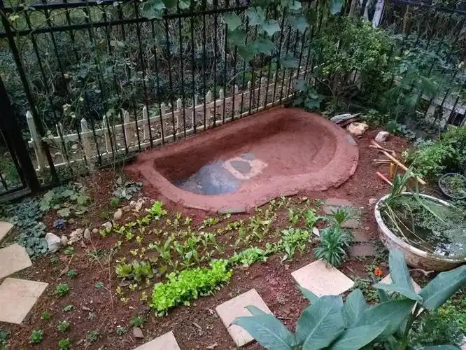 低成本自建小鱼池这个我们也可以有