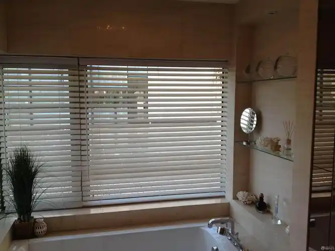 卫生间百叶窗帘装修效果图