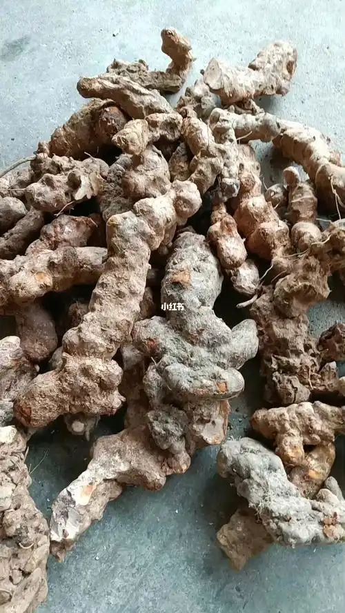 新鲜野生土茯苓