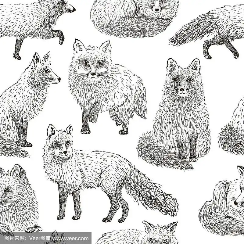 狐狸无缝图案草图手绘
