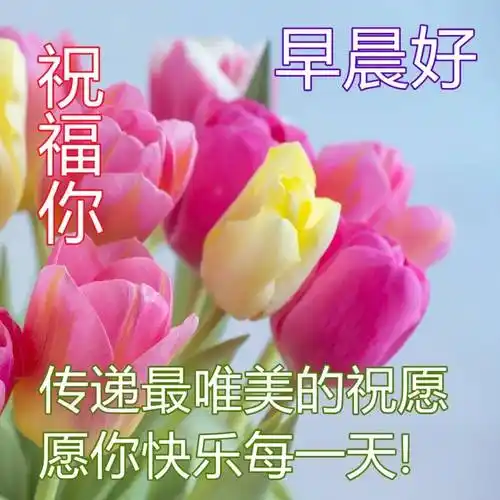 随,乐淘淘,好运伴,祝福来,每一分,每一秒,轻轻地,问候声,好朋友,早安!