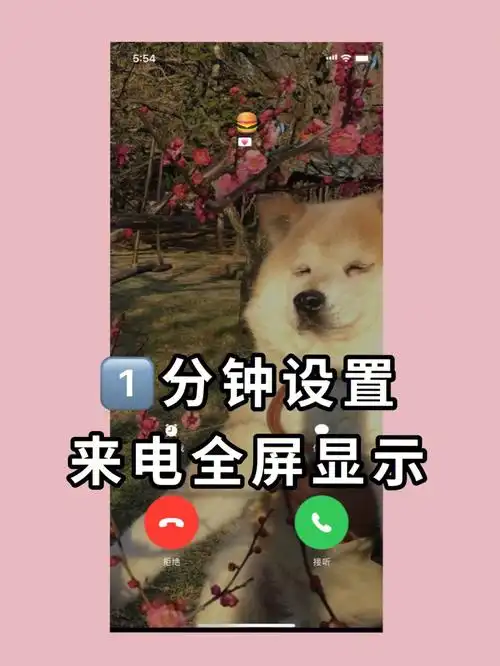 iphone可爱小技巧自定义来电全屏显示78