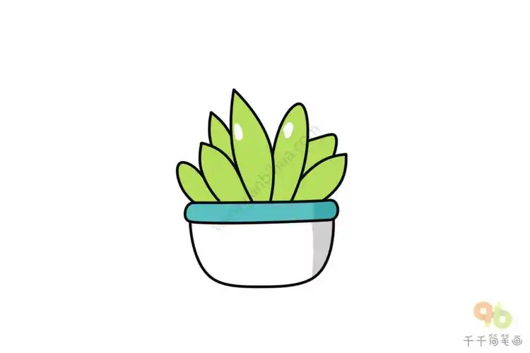 盆景简笔画 多肉植物的画法