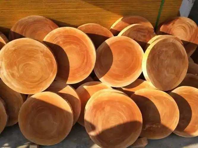 《桃花心木》感悟,种树如育人,锻炼孩子拥有一颗独立自主的心