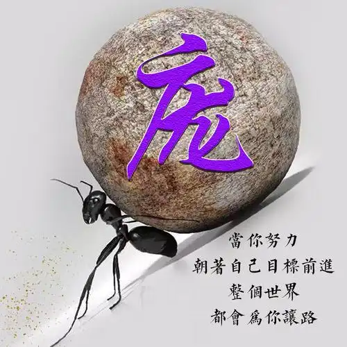 编号1747:20张免费姓氏,2020勇往直前