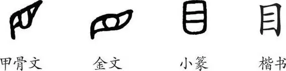 《目》字义,《目》字的字形演变,小篆隶书楷书写法《目》