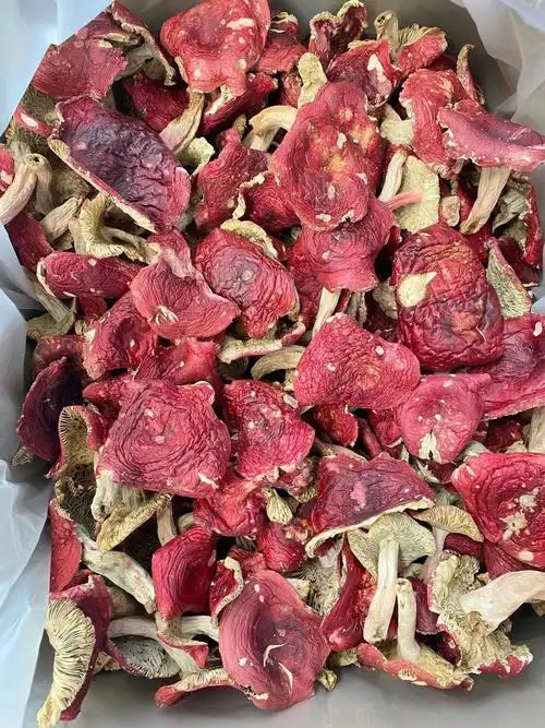 61南云69高原野生红菇96具有很61的好69功效61滋:69阴