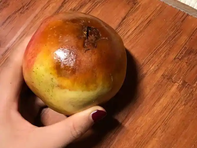 "石榴五不吃,吃了秋难安",哪5种石榴不吃?秋天要知道忌口