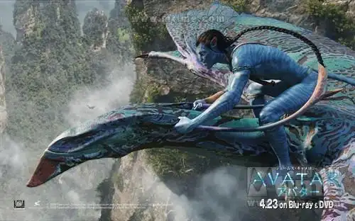 算2009年的电影,但开启了2010年的骑行之旅)《阿凡达》2010年即将过去