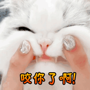 鼓掌中表情包 - 表情图