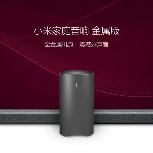 小米家庭音响 金属版电视音箱 低音炮 小米官方旗舰店正品-tmall.