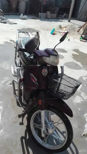 【原创首发】拍拍在家闲置的金城摩托车