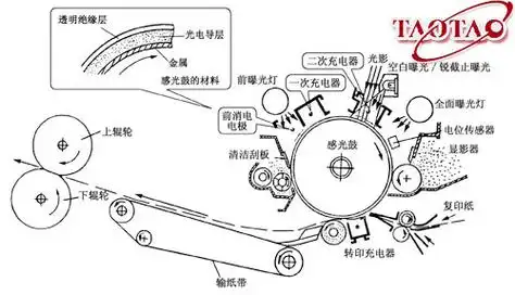 复印机的基本结构和工作原理