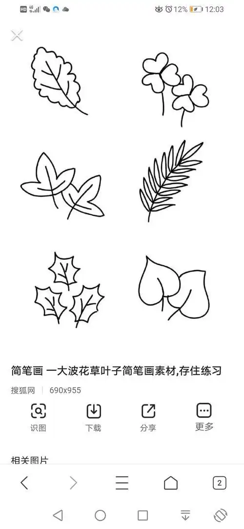 简笔画 花草集1