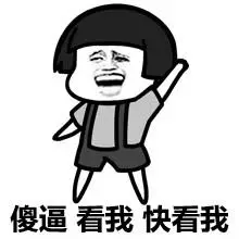 傻逼,看我,快看我 - 好大一坨傻逼_傻逼表情