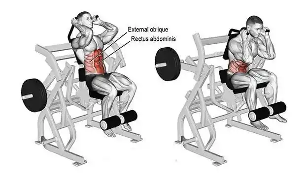14,举腿训练器 悬垂举腿好帮手.
