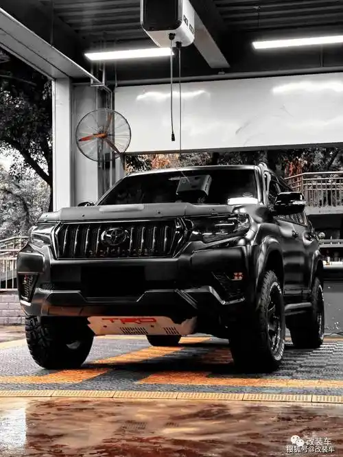 "黑武士"越野风的丰田普拉多,改装后成了搬家"神器"_搜狐汽车_搜狐网