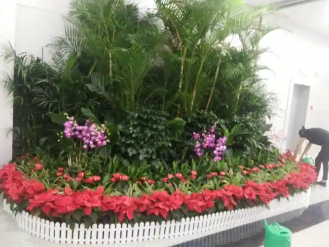 常德为什么越来越多的企事业单位都选择花卉租赁,而不是直接购买花卉