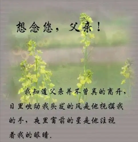 清明!深深思念我伟大的老父亲