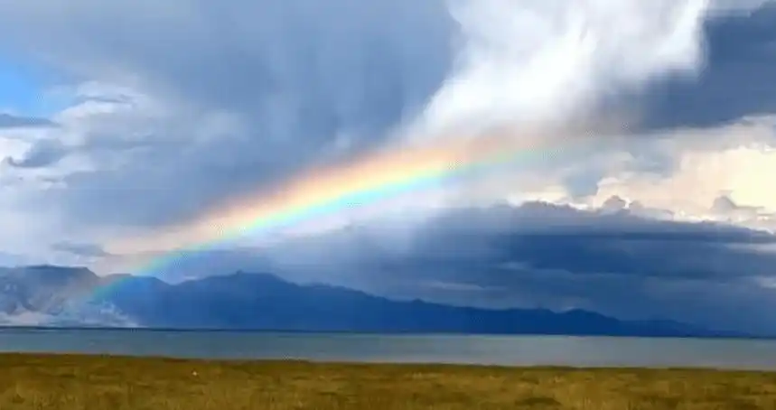 精选层雨过天晴深蹲反弹原因和感触