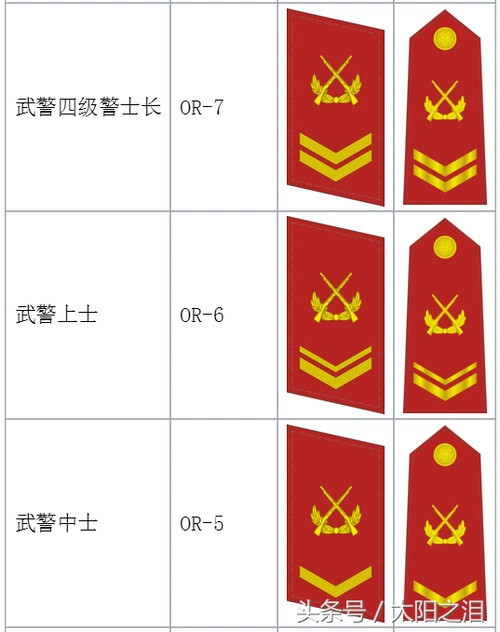 两杠四星是什么军衔 两杠四星和市长哪个大-星星快文