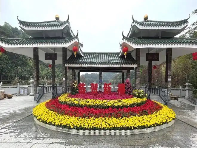 新春乐游蓬江⑧大街小巷换新装摆花造景过新年