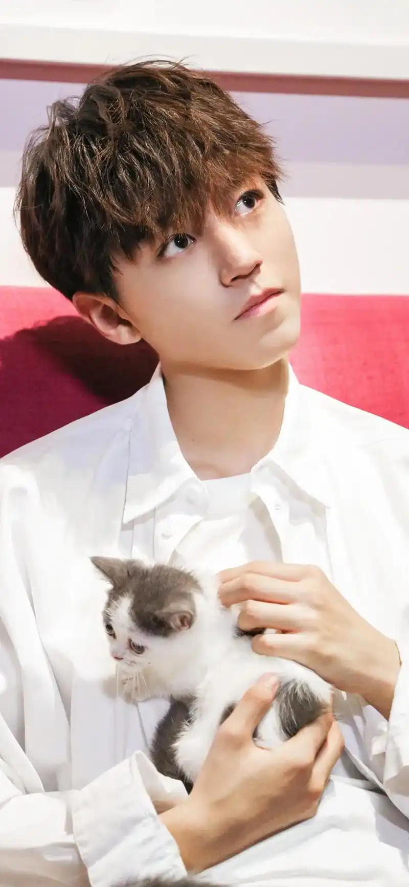 十之九,#壁纸 #我的神仙爱豆 #王俊凯 #王俊凯让人心动的 - 抖音