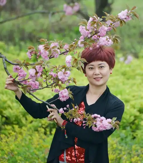 安徽蚌埠鲜花美人