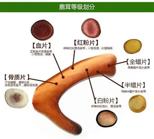 想买鹿茸又不懂,看这里,十年鹿农教你鹿茸片怎么分类