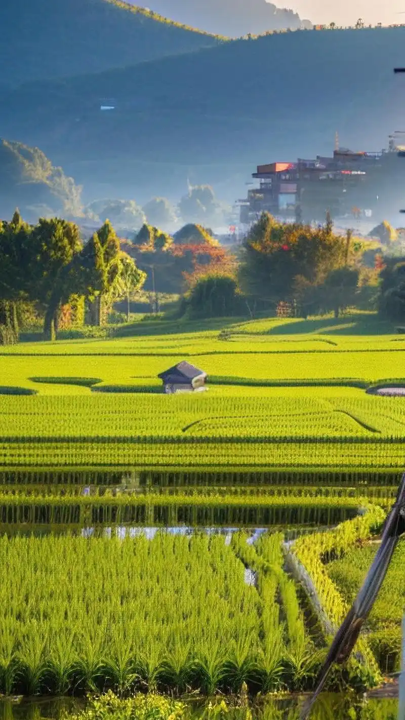 亲们,想要微信背景图换个新风格吗?