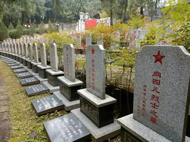 不忘忠魂我市31座散葬烈士墓迁入红军烈士纪念园